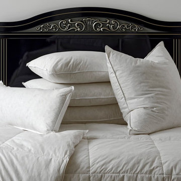 Sunflower Hometex Down Pillow Inserts