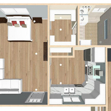 Garage conversion to new amazing ADU