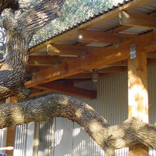 Ruth Lake Cabin