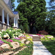 Landscape ideas