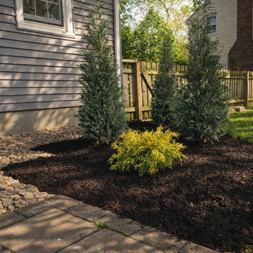 Evergreen Planting River Rock Mulch Niskayuna
