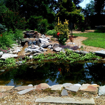 Water Feature