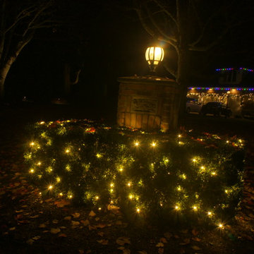 Holiday Light in Woodinville