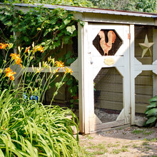 tammy_spencer58's ideas