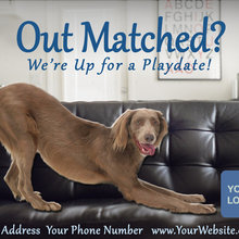 Pet Product Marketing Ideas, by Charter Marketing