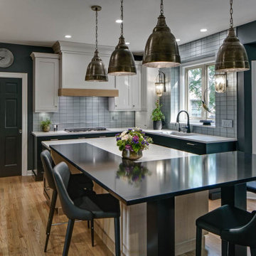 Modern Sophisticated Kitchen - Oswego, IL