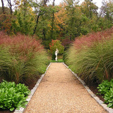Sunburst Lane yard ideas