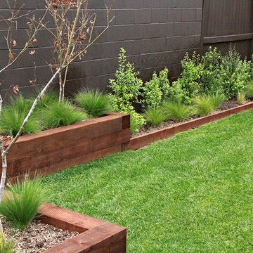 Contemporary Backyard