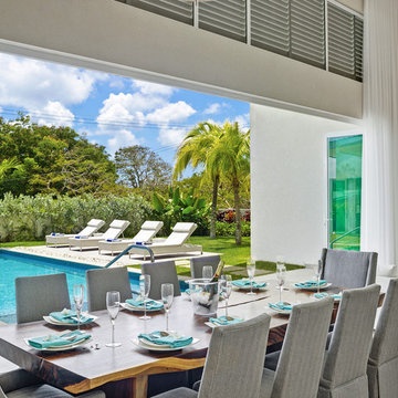 Gibbes Glade - Barbados
