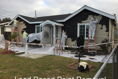 Removal and disposal of loose and flakey lead based paint