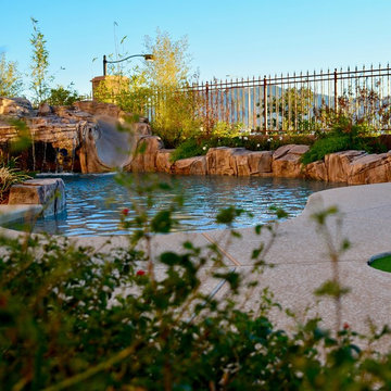 Desert oasis in Summerlin, Las Vegas