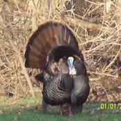 Lori Walker Chrysler's photo