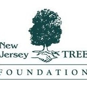 Foto von Nj Trees