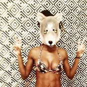 Dani Greeneさんの写真