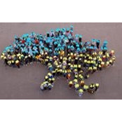 Anna Evtushenko's photo