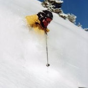 Eric Freedman's photo