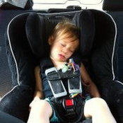 Michelle Horowitz's photo