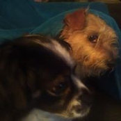 Foto von Gretta Chandler