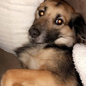 Megan Lipscomb's photo