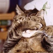 Foto von Catherine Baroche