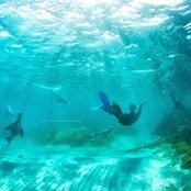 Eddy Labouré's photo