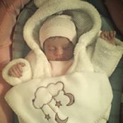Neno Malak's photo