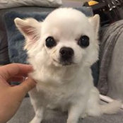 Amber Ouさんの写真
