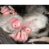 Suzanne Warda's photo