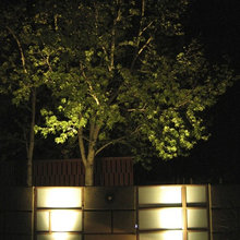 Exterior Ideas