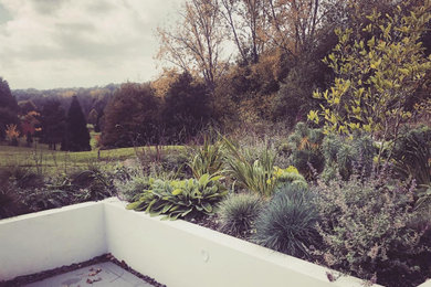 Inspiration for a modern garden in Sussex.