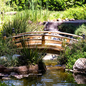 Bridge