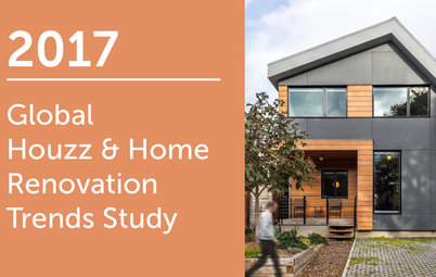 2017 Global Houzz & Home Study: Annual Renovation Trends