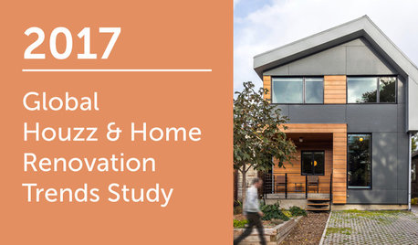 2017 Global Houzz & Home Study: Annual Renovation Trends