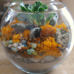 Micro-Gardens - Products