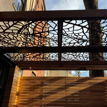 Harlem terrace renovation