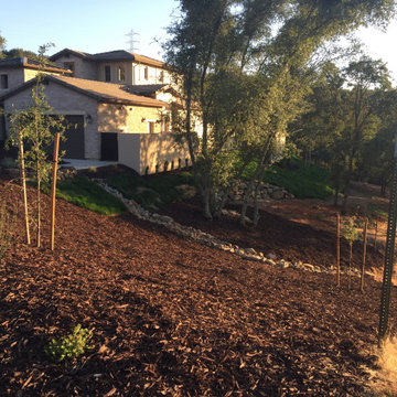 El Dorado Hills - Serrano Complete Landscape