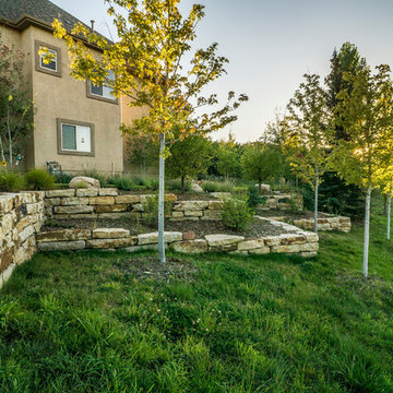 Hillside Garden Landscape with Water Features and Beautiful Plantings