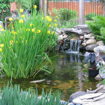 Water Gardens
