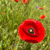 Nadia Nonini's photo