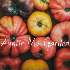 Auntie M's Garden