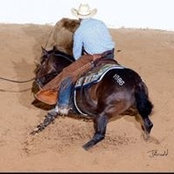 Photo de Don Bell