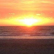 Lydia Lee's photo