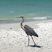 Susan Deal Harris's photo