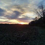 Rosie Wiggins's photo