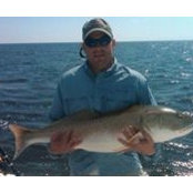 Greg Forrests billede
