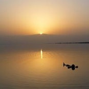 Daniel Natapov's photo