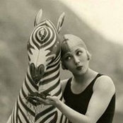 Krista Wardeckers foto
