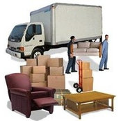 Moving Trusted's photo