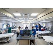 Jason Steinfeld's photo
