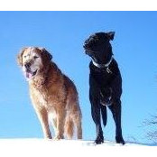 Missy Thompson's photo